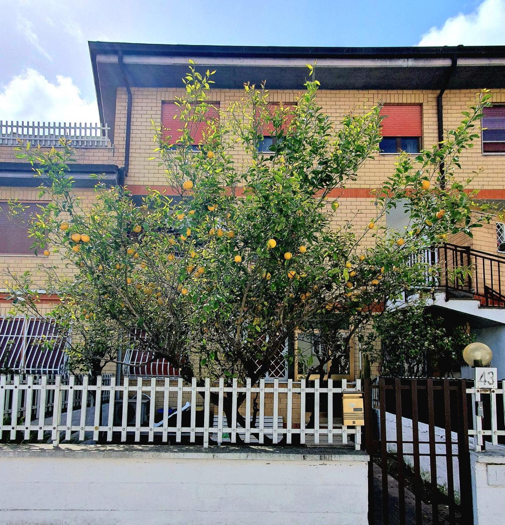 Lemon Tree House Apartment Ostia Antica Ngoại thất bức ảnh